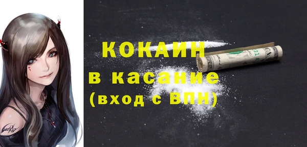 стаф Вязьма