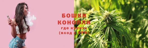 стаф Вязьма