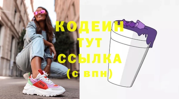 стаф Вязьма