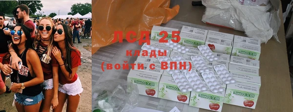 стаф Вязьма