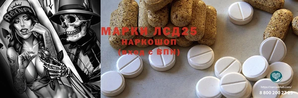 стаф Вязьма