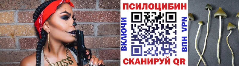 mega вход  Невьянск  Галлюциногенные грибы Psilocybine cubensis 